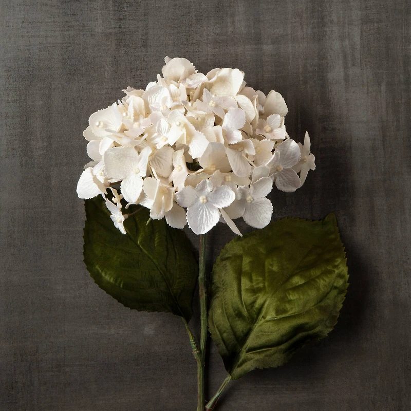 12 Pack: Pearl Hydrangea Stem by Ashland®