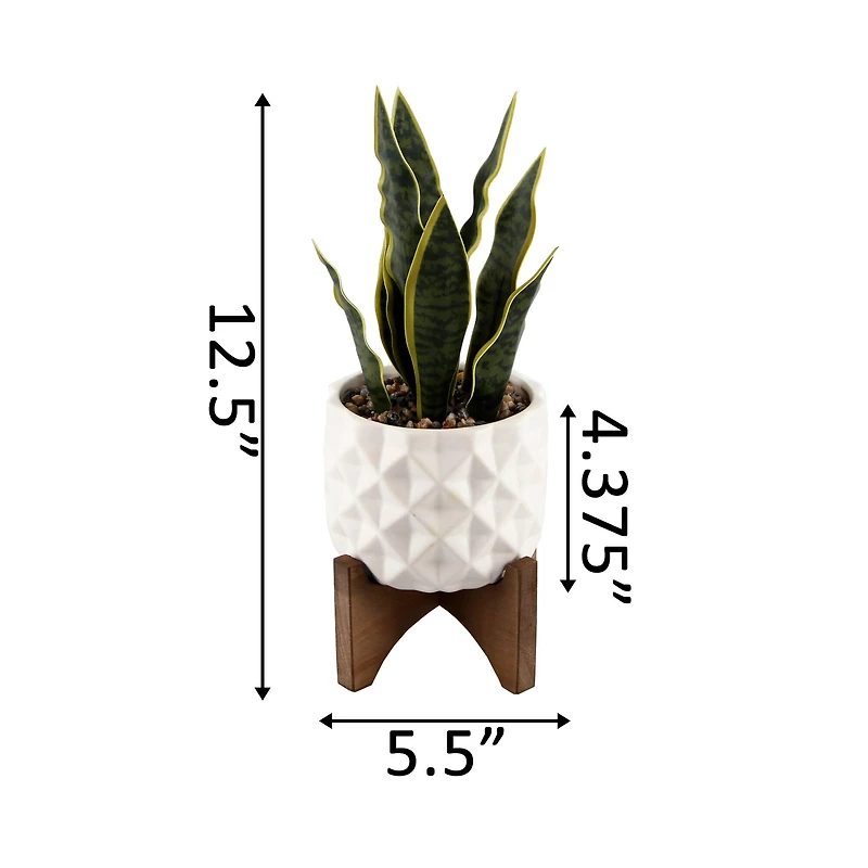 Flora Bunda® 12.5" Snake Plant in Ceramic Planter with Stand