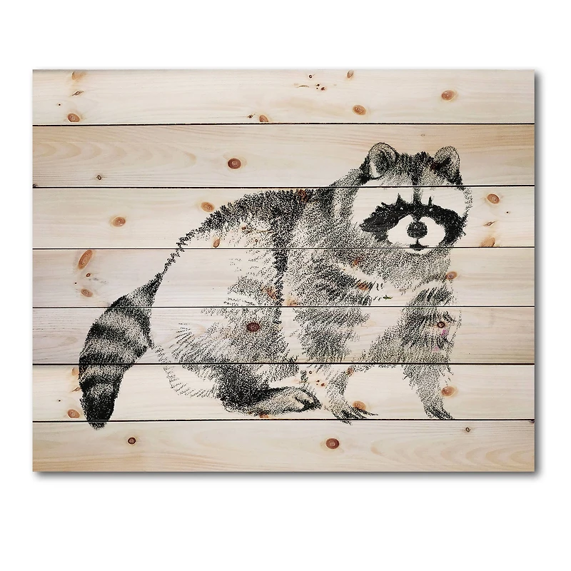Designart - Monochrome Portrait Of Raccoon