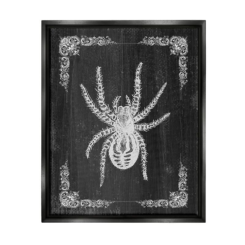 Stupell Industries Black & White Spider Framed Floater Canvas Wall Art