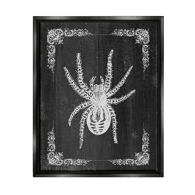 Stupell Industries Black & White Spider Framed Floater Canvas Wall Art