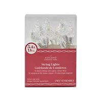 12ct. Warm White LED Iridescent Flame Tip Bulb String Lights on Silver Wire by Ashland®