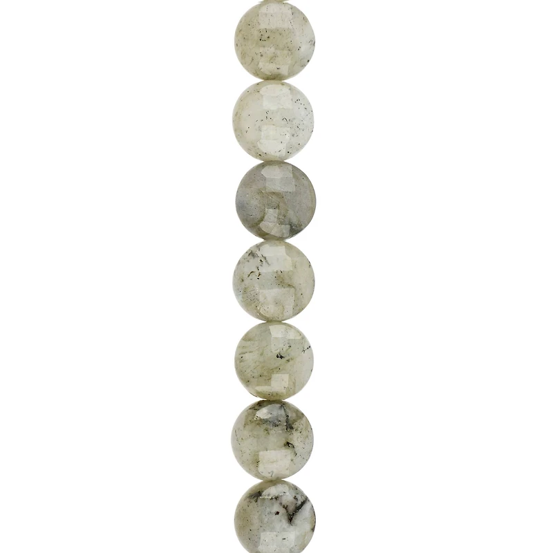 Gray Labradorite Faceted Coin Beads, 8mm by Bead Landing™