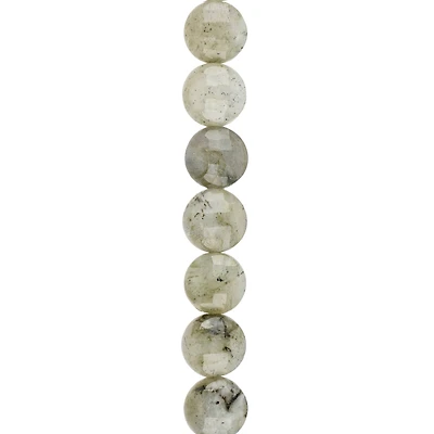 Gray Labradorite Faceted Coin Beads, 8mm by Bead Landing™