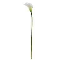 White Calla Lily Stem, 12ct.