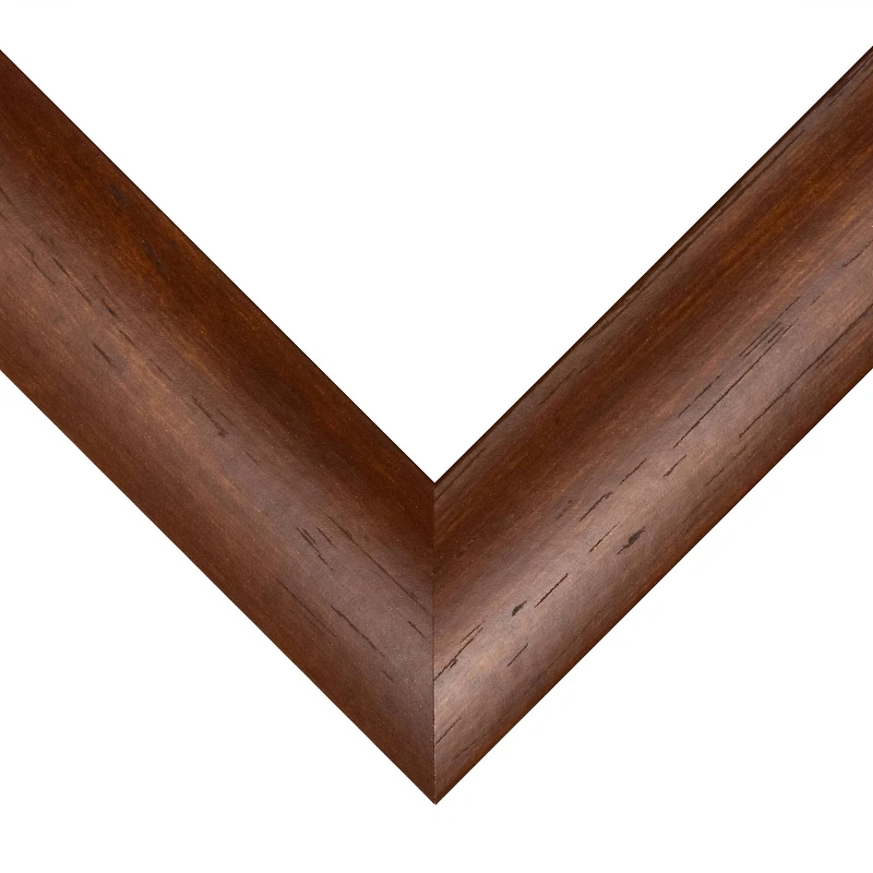 Frame USA Honey Rounded Brown Single Image Picture Frame with Mat