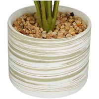 The Novogratz 16" Green Faux Foliage Calathea Artificial Plant in Porcelain Pot