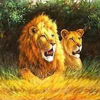 Sparkly Selections Power Couple Diamond Art Kit