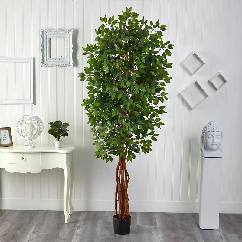 7.5ft. Potted Super Deluxe Ficus Tree