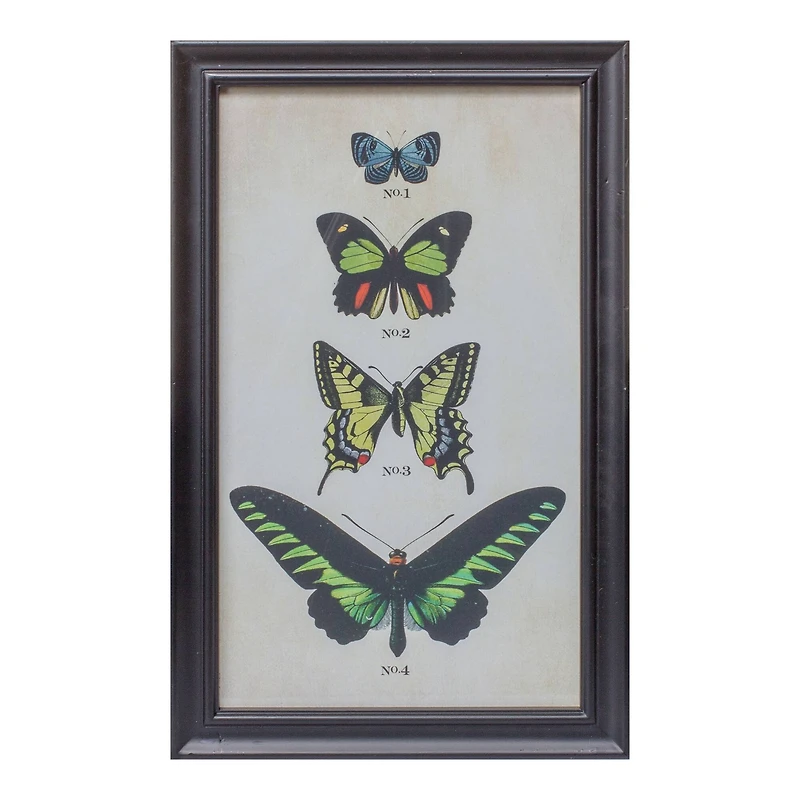 Framed Butterfly Print Set