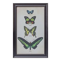 Framed Butterfly Print Set