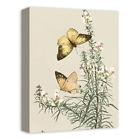 Butterflies In Sage 12" x 16" Canvas Wall Art