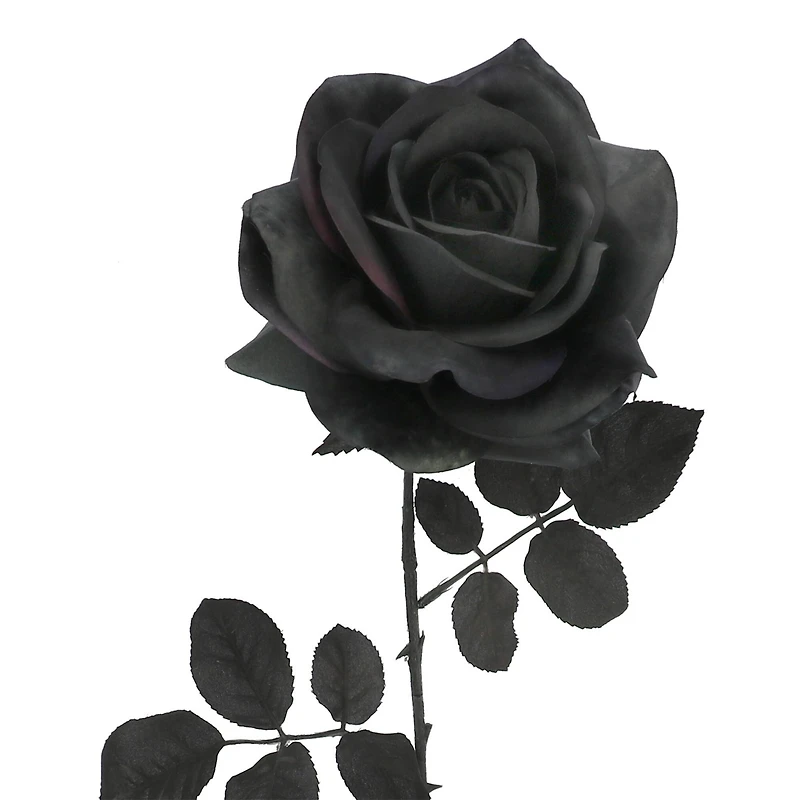 29.5" Black Rose Stem by Ashland®