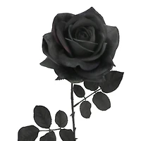 29.5" Black Rose Stem by Ashland®