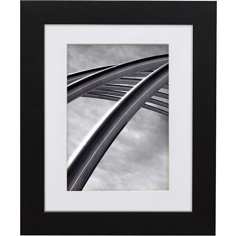 Craig Frames 4 Pack Bauhaus Mystic Satin Black Picture Frame with Mat