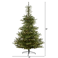 7.5ft. Pre-Lit Layered Washington Spruce Artificial Christmas Tree, Clear LED Lights