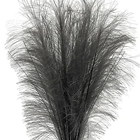 24" Gray Pampas Grass Bush by Ashland®