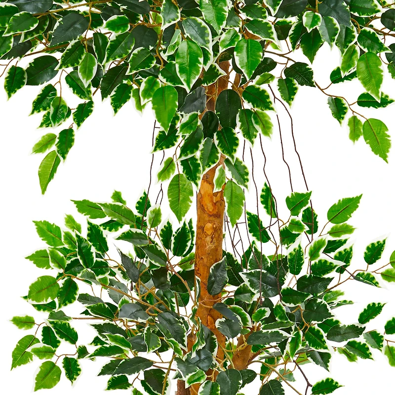 4ft. Potted Variegated Ficus Artificial Tree