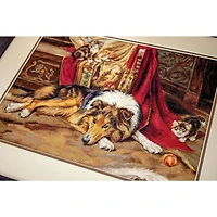 Luca-s A Reluctant Playmate Counted Cross Stitch Kit