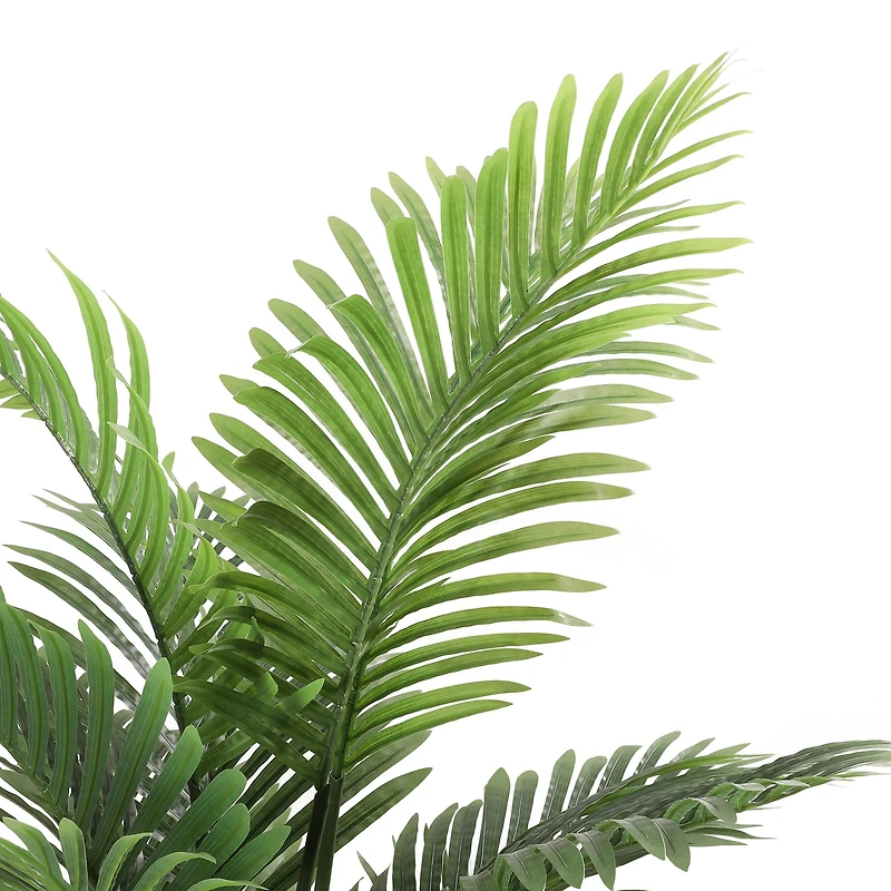 6 Pack: 4ft. Areca Palm in Black Planter