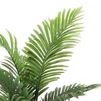 6 Pack: 4ft. Areca Palm in Black Planter
