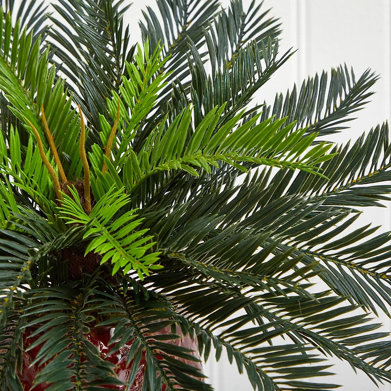 15'' Cycas Palm in Red Ceramic Planter