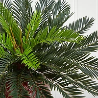 15'' Cycas Palm in Red Ceramic Planter