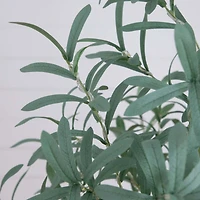5ft. Pre-Lit Artificial Olive Tree with Warm White LED Lights
