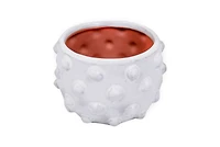 Hello Honey® 5.5" White Bubbled Design Terra Cotta Planter