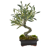 14" Potted Mini Olive Artificial Bonsai Tree