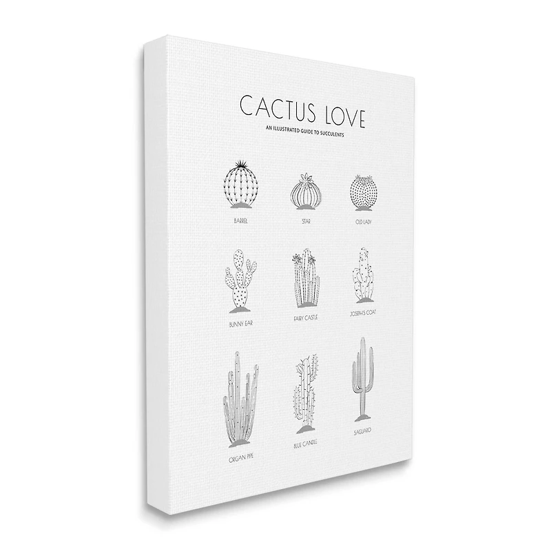 Stupell Industries Illustrated Guide to Succulents Minimal Modern Cactus Plant Canvas Wall Art