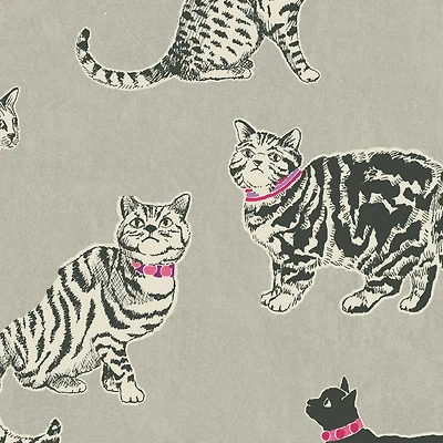 Pkl Studio Charcoal Pretty Kitty Cotton Home Décor Fabric