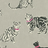 Pkl Studio Charcoal Pretty Kitty Cotton Home Décor Fabric