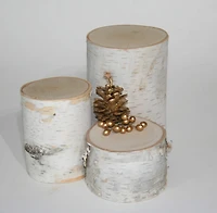 Wilson® Enterprises Birch Pillar Set