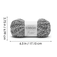 2 Pack Caron® Simply Me Mosaic™ Yarn