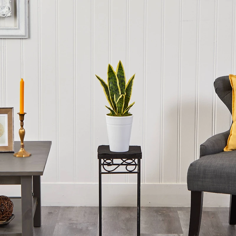 18" Snake Plant in Decorative White Planter