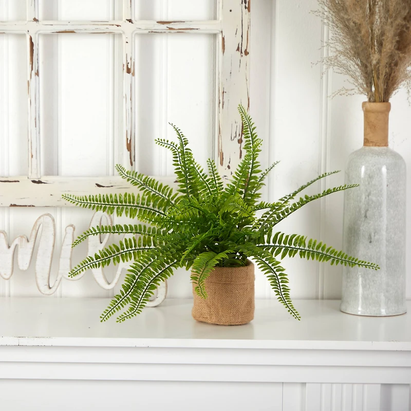 15" Boston Fern with Burlap Planter, 2ct.