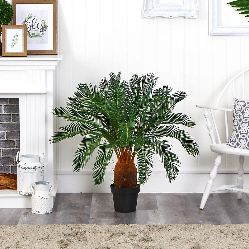 3ft. Potted Cycas Tree