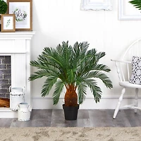 3ft. Potted Cycas Tree