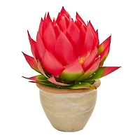 12" Red Musella Arrangement In Decorative Vase