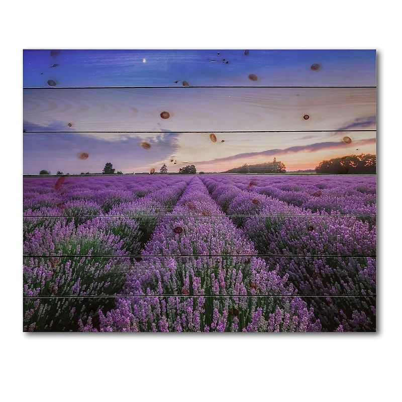 Designart - Sunrise & Dramatic Clouds Over Lavender Field II