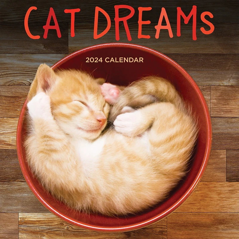 TF Publishing 2024 Cat Dreams Wall Calendar