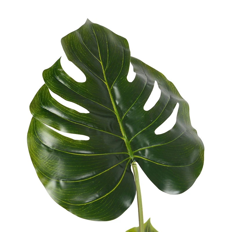 3ft. Potted Split Leaf Philodendron
