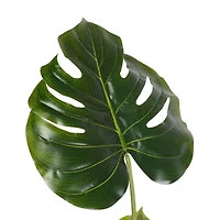 3ft. Potted Split Leaf Philodendron