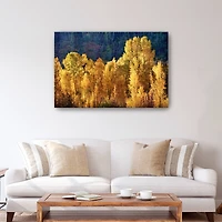 Aspens In Autumn Canvas Giclee