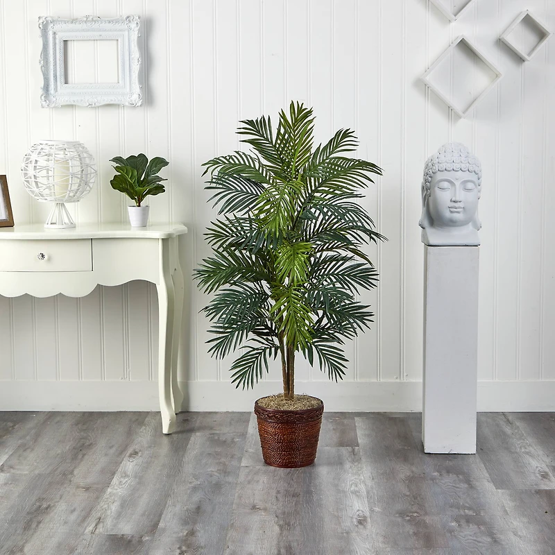 4.6ft. Areca Palm Tree with Basket