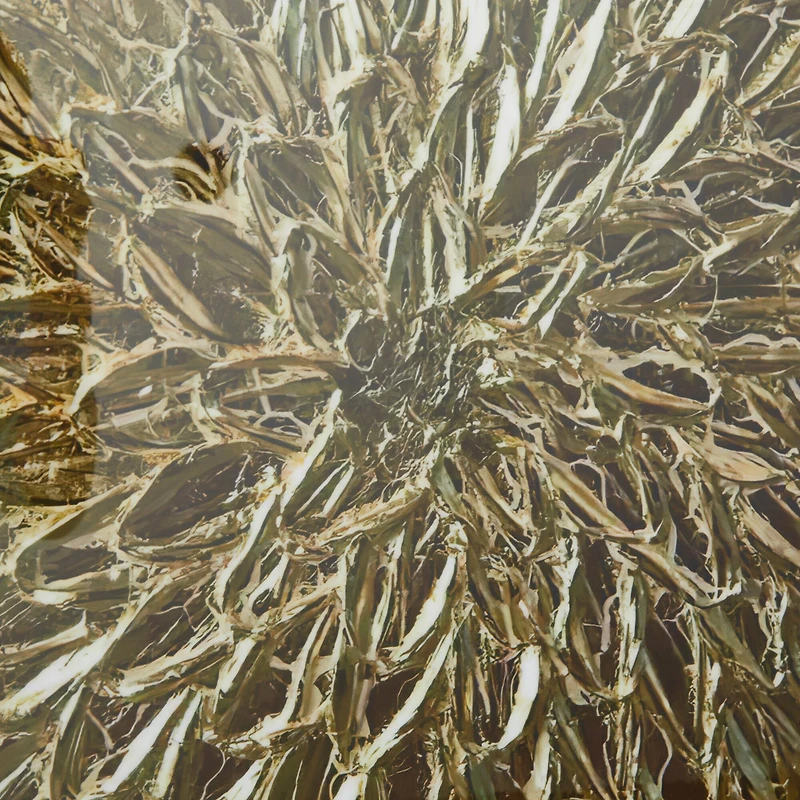 CosmoLiving by Cosmopolitan Gold Porcelain Scales Starburst Framed Wall Art with Gold Aluminum Frame Set of 2 32", 32"