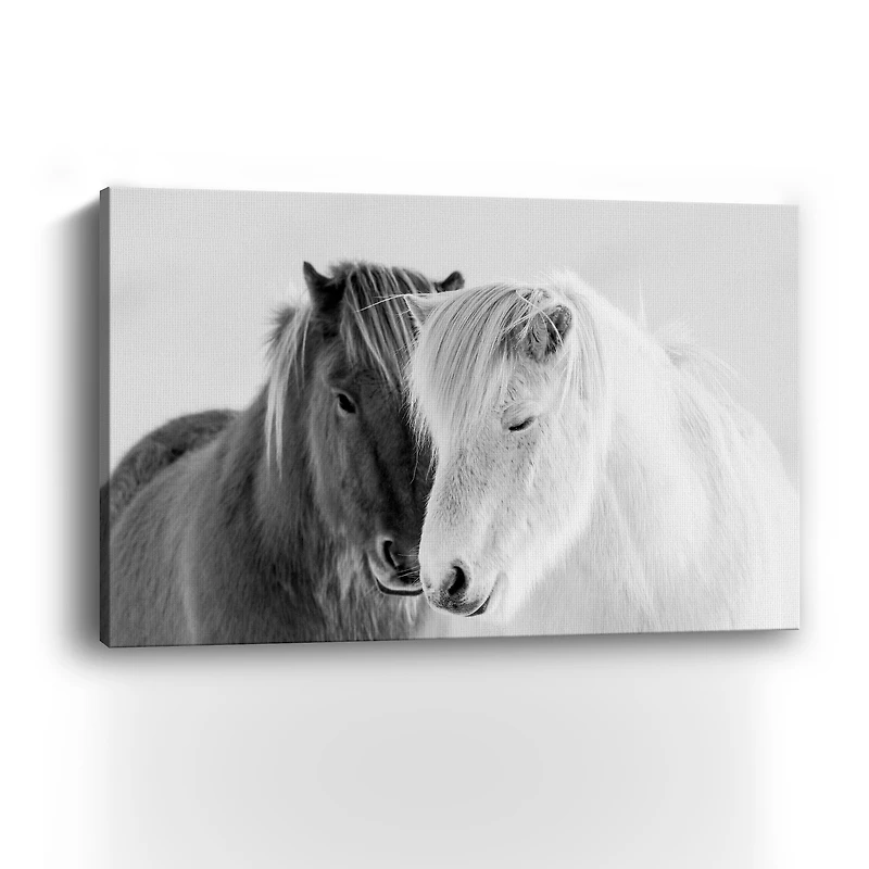 South Iceland Canvas Giclee