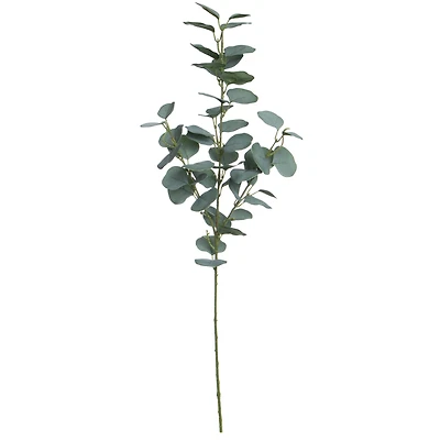 32" Green Eucalyptus Stem by Ashland®