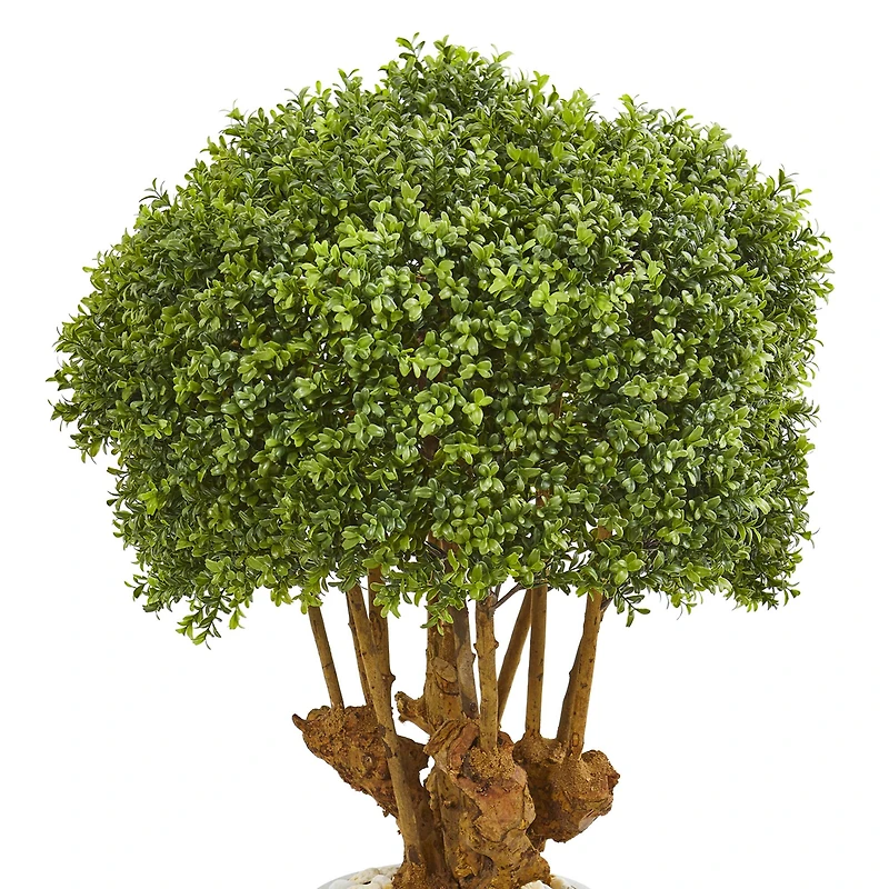 3ft. Boxwood Topiary Tree in Sandstone Planter